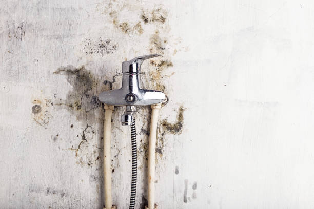 Best Mold Remediation for Schools in Stanton, CA