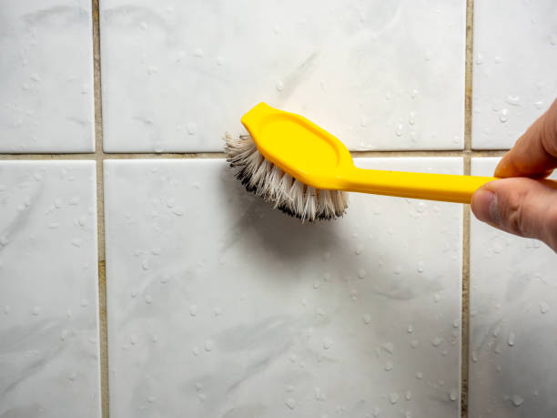 Best Health and Safety Mold Remediation in Stanton, CA
